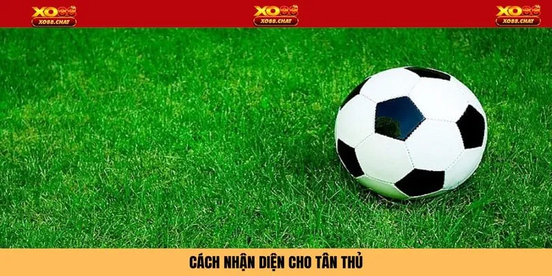 Cách nhận diện cho tân thủ