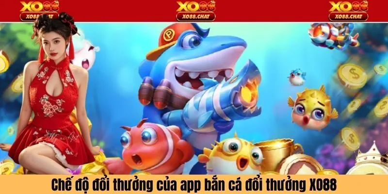 Chế độ đổi thưởng và phần thưởng hấp dẫn