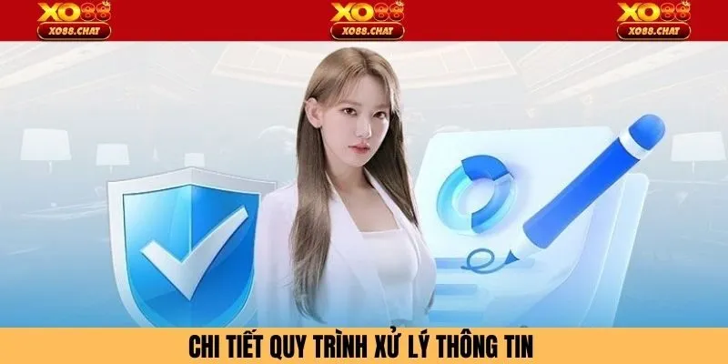 Chi tiết quy trình xử lý thông tin 