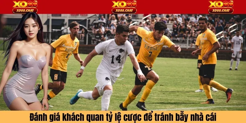 Đánh giá khách quan tỷ lệ cược để tránh bẫy nhà cái