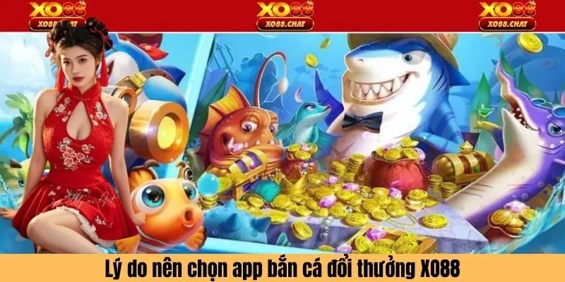 Lý do nên chọn app bắn cá đổi thưởng XO88