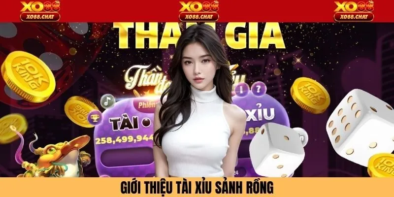 Giới thiệu tài xỉu sảnh rồng